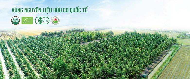 nguyen lieu mat hoa dua Sokfarm thich ung bien doi khi hau